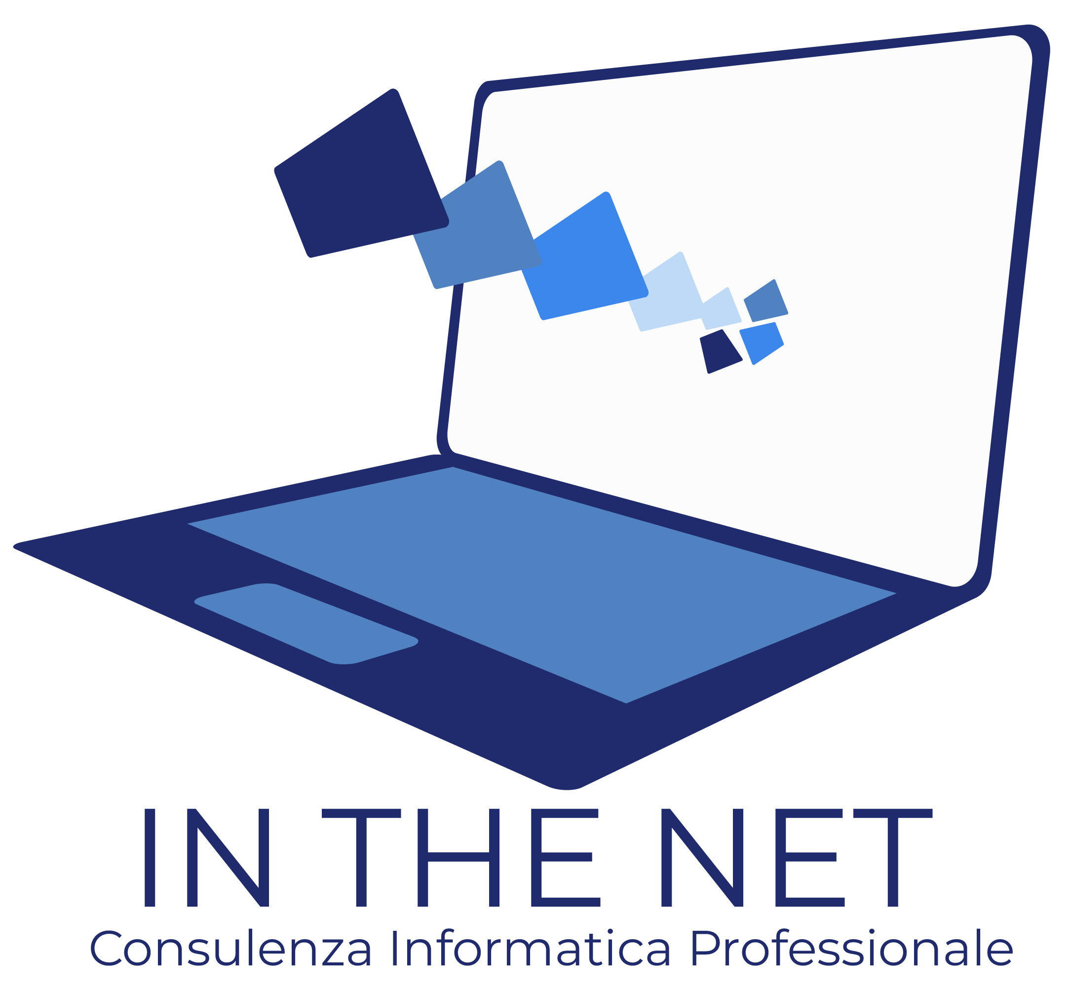 In The Net